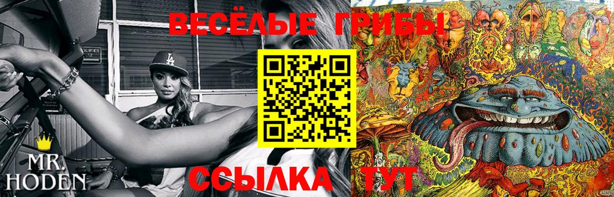 Галлюциногенные грибы ЛСД  Вход с VPN  Россия  Галлюциногенные грибы Magic Shrooms 